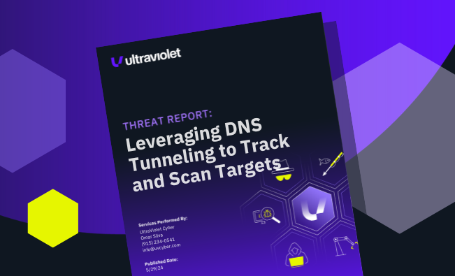 Leveraging DNS tunneling to Track and Scan Targets